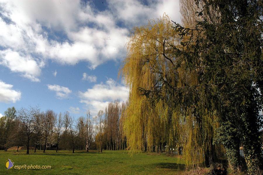 Nom de l'image : D1120239-01_(c)Norbert-JUNG — Description :  PËlerinage de Chartres 2004